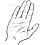 Векторный клипарт «Руки (129)»