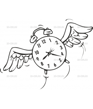 TIME_FLY