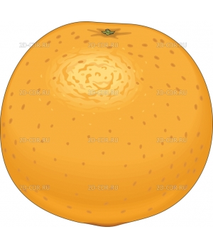 Апельсин (14)