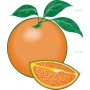 Векторный клипарт «Апельсин (3)»