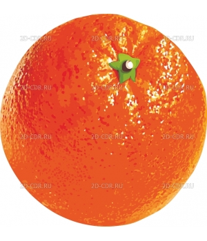 Апельсин (4)
