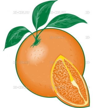 Апельсин (6)