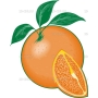Векторный клипарт «Апельсин (6)»