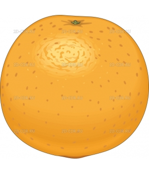 Апельсин (9)