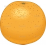 Векторный клипарт «Апельсин (9)»