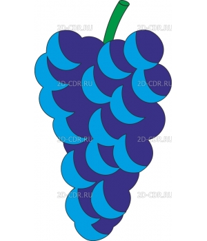 Виноград (11)