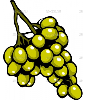 Виноград (5)