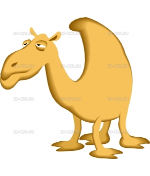Верблюд (2)