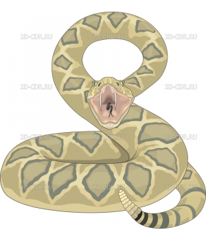 Змея (1)