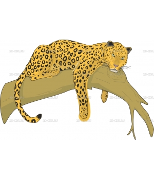 Леопард (3)