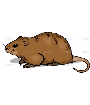Мышка (18)