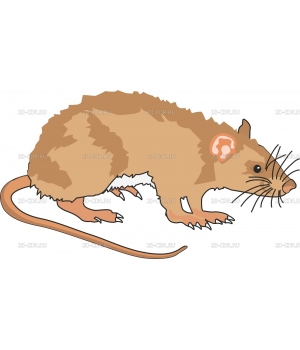 Мышка (3)