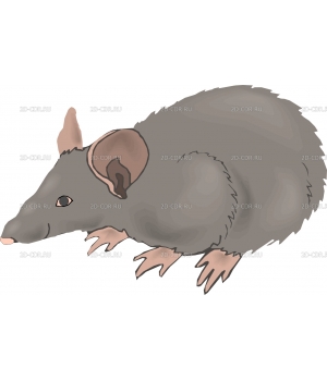 Мышка (9)