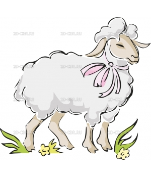 Овца (1)