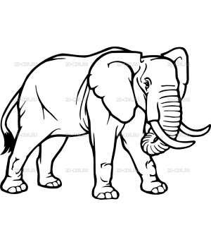 Слон (3)