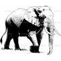 Векторный клипарт «Слон (4)»