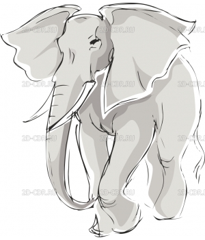 Слон (7)