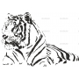 Векторный клипарт «Тигр (10)»