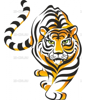 Тигр (12)