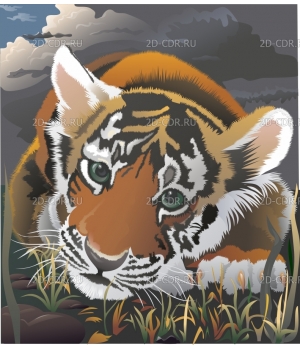 Тигр (16)
