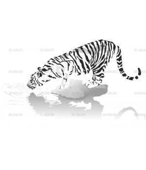 Тигр (18)