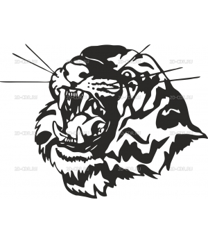 Тигр (5)