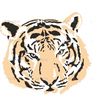 Тигр (6)