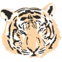 Векторный клипарт «Тигр (6)»