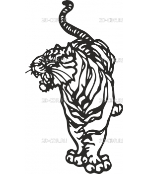 Тигр (8)
