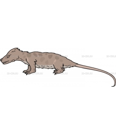 CYNODONT