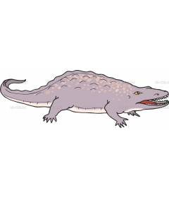 ERYOPS