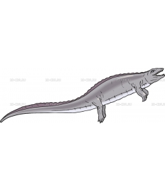 PLACODUS