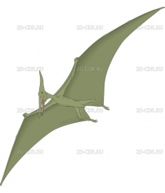 PTERADAC