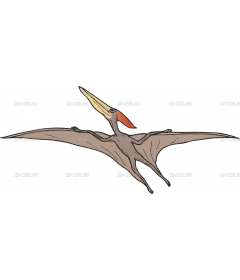 PTERANOD