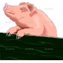 Векторный клипарт «Свинка (37)»