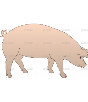 Свинка (59)