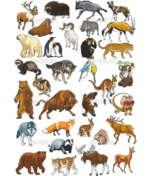 Комплект животных (102)