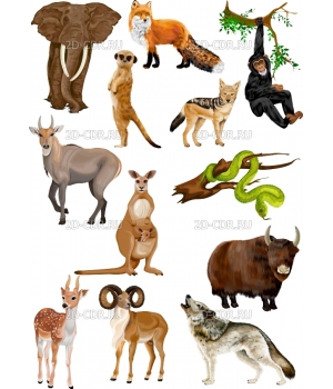 Комплект животных (105)
