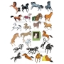 Векторный клипарт «Комплект животных (49)»