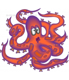 OCTOPUS