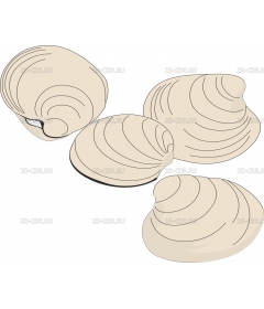 CLAMS