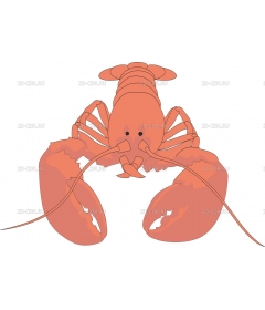 LOBSTER