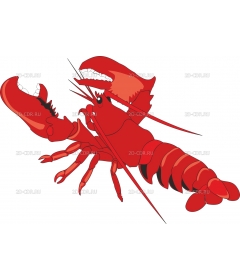 LOBSTER4