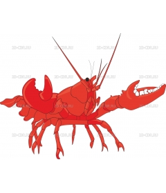 LOBSTER5