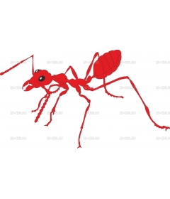 ANT