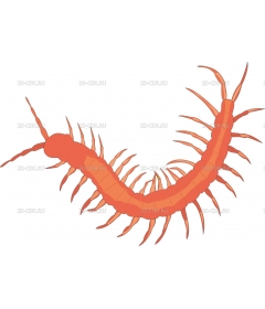 CENTIPED