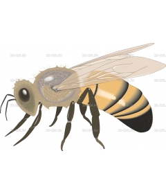 HONYBEE2