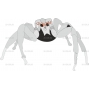 Векторный клипарт «SPIDER2»