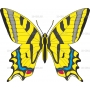 Векторный клипарт «Бабочка (17)»