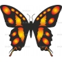 Векторный клипарт «Бабочка (36)»